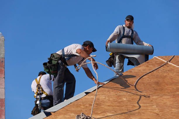 Best Flat Roof Repair Services  in Ledbetter, KY